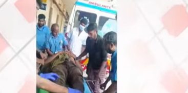 Wild Animal Attack in Karuvarakundu