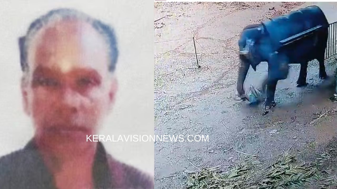 second-mahout-died-dies-after-being-trampled-by-elephant-at-private-elephant-safari-center