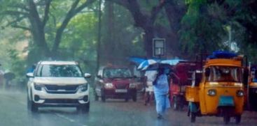 rain alert