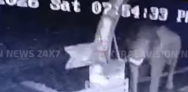  Forest Officer Narrowly Escapes Wild Elephant Charge at Plappally