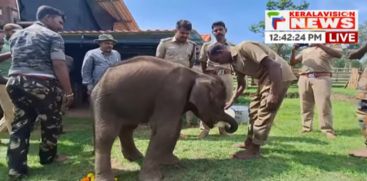 latest news from idukki