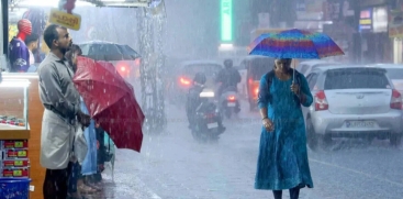 rain