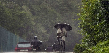 rain