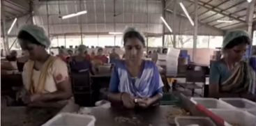 kerala cashew corporation case