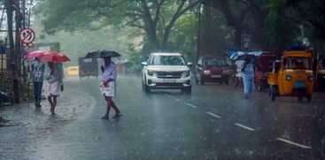 rain