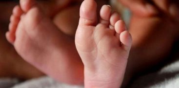 newborn