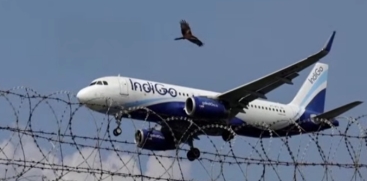IndiGo Airlines