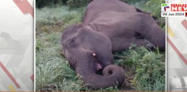 latest news from idukki