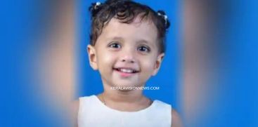 THREE YEAR OLD DIES IN ACCIDENT