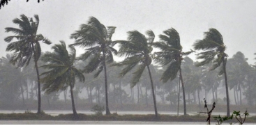 Rain