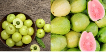Guava vs. Amla
