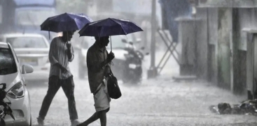 rain