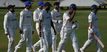 cricket