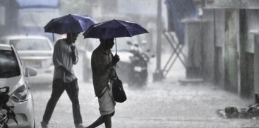 Yellow Alert Issued for 7 Districts as Heavy Rain Continues
