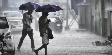 rain
