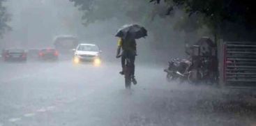 rain alert