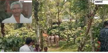 Erumakolli Elephant Attack