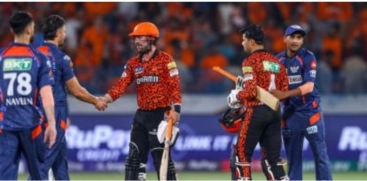 cricket