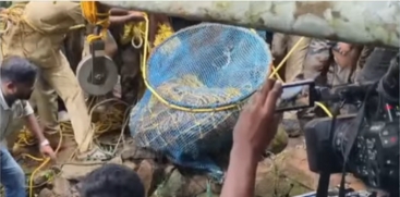 Tiger Rescued from Chittar Well Released into Periyar Tiger Reserve Forest