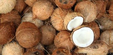 Coconut 