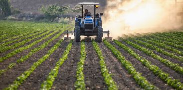 Relief for the agricultural sector; China to supply fertilizer to India after months