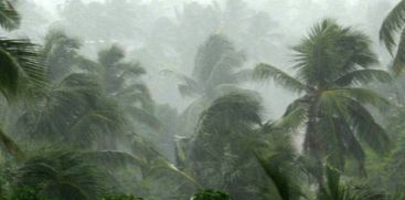 rain