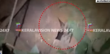 Leopard Escapes After Being Trapped in Tunnel