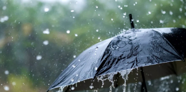 rain