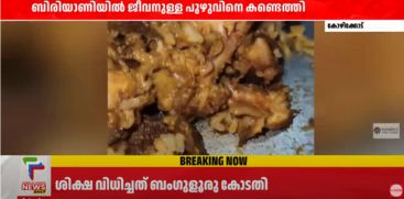 biriyani 