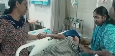 Elderly Woman Injured in Wild Elephant Attack