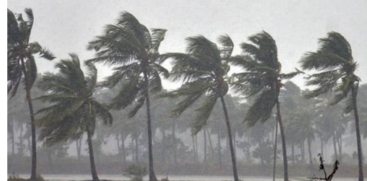 Kerala Rain 