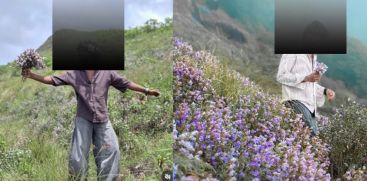 NEELAKURINJI