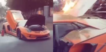 lamborgini