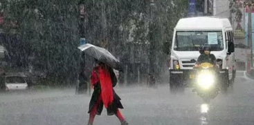 Rain