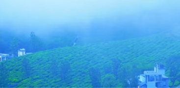 Munnar Tourism 
