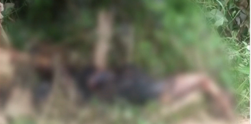 Idukki Murder Case