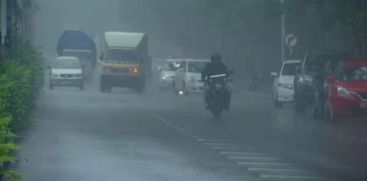 rain alert