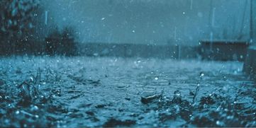 heavy-rains-arrive-in-the-state-ahead-of-the-monsoon-season