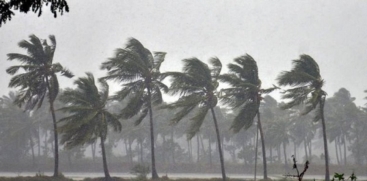 Rain