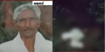 Man Killed in Wild Elephant Attack in Erumakolli 