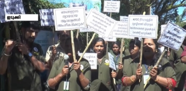 Munnar Rose Garden Workers Stage Protest 