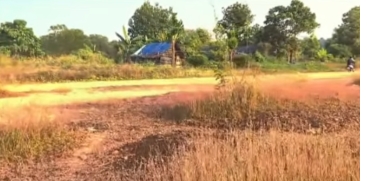 Government Withdraws from Aranmula IT Park Project