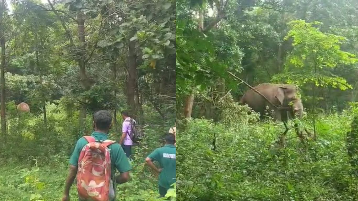 mission to treat PT 5 completed