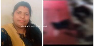 VIDYA
