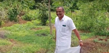 Environment Day
