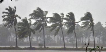 Heavy rain will continue in the state today; Red alert in Pathanamthitta and Idukki districts