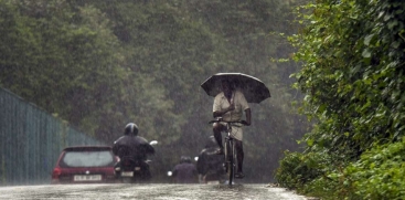 rain