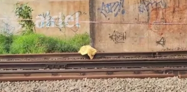 Vyttila Woman Murder Case