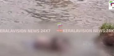 The dead body was found at Bharathapuzha in Thrissur Deshamangalam