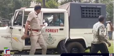 Middle-aged man killed and eaten by tiger in Gundalpeta; Forest department unable to catch the tiger in Walkeri